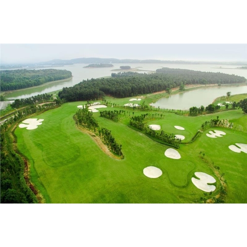 Sân Golf