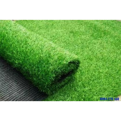 Cỏ Nhân Tạo - CỎ GV-05