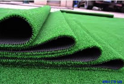 cỏ golf green